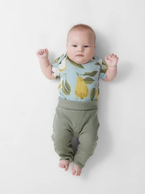 Одежда для младенцев Happy Baby модель 90134-0_pear Фото