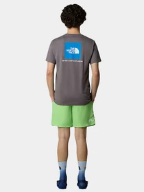 Шорты The North Face модель NF0A5IG56II1 Фото
