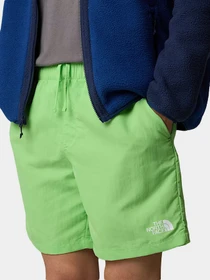 Шорты The North Face модель NF0A5IG56II1 Фото