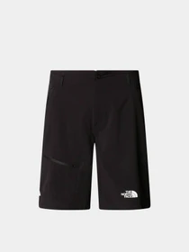 Шорты The North Face модель NF0A82694H01 Фото