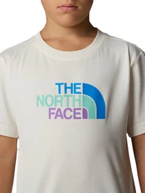 Костюмы The North Face модель NF0A8ANU56R1 Фото