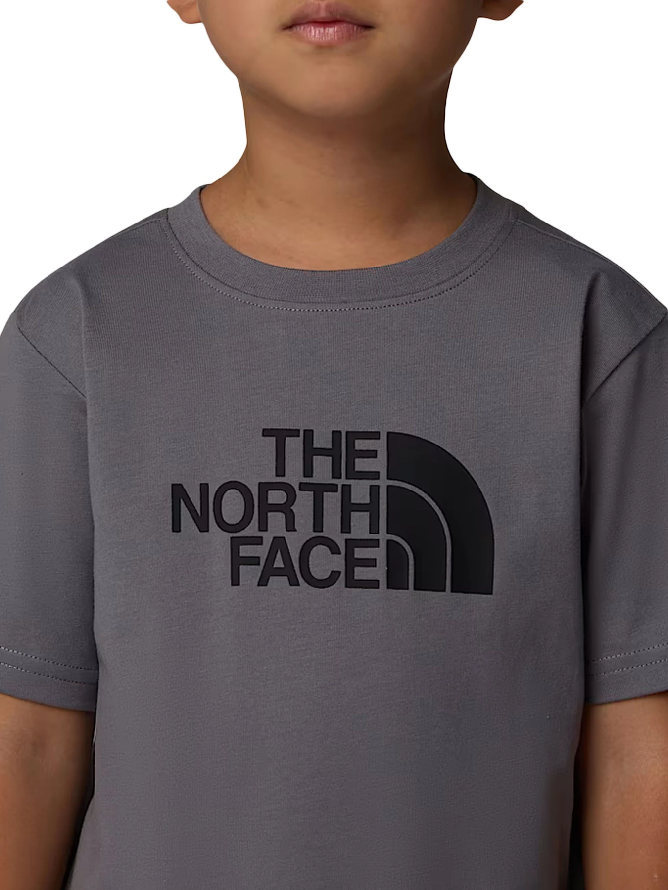 Костюмы The North Face модель NF0A8ANURPI1 Костюмы The North Face модель NF0A8ANURPI1 Фото