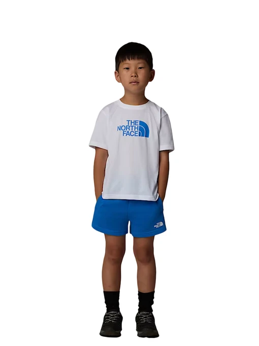 Костюмы The North Face модель NF0A8ANUTL41 Фото