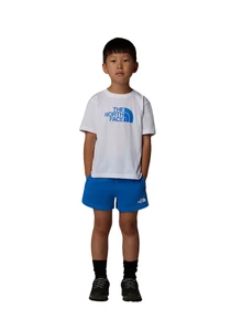 Костюмы The North Face модель NF0A8ANUTL41 Фото