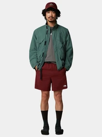 Шорты The North Face модель NF0A8BHV0VO1 Фото