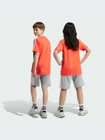 Шорты Adidas модель IS2573-KZ Фото