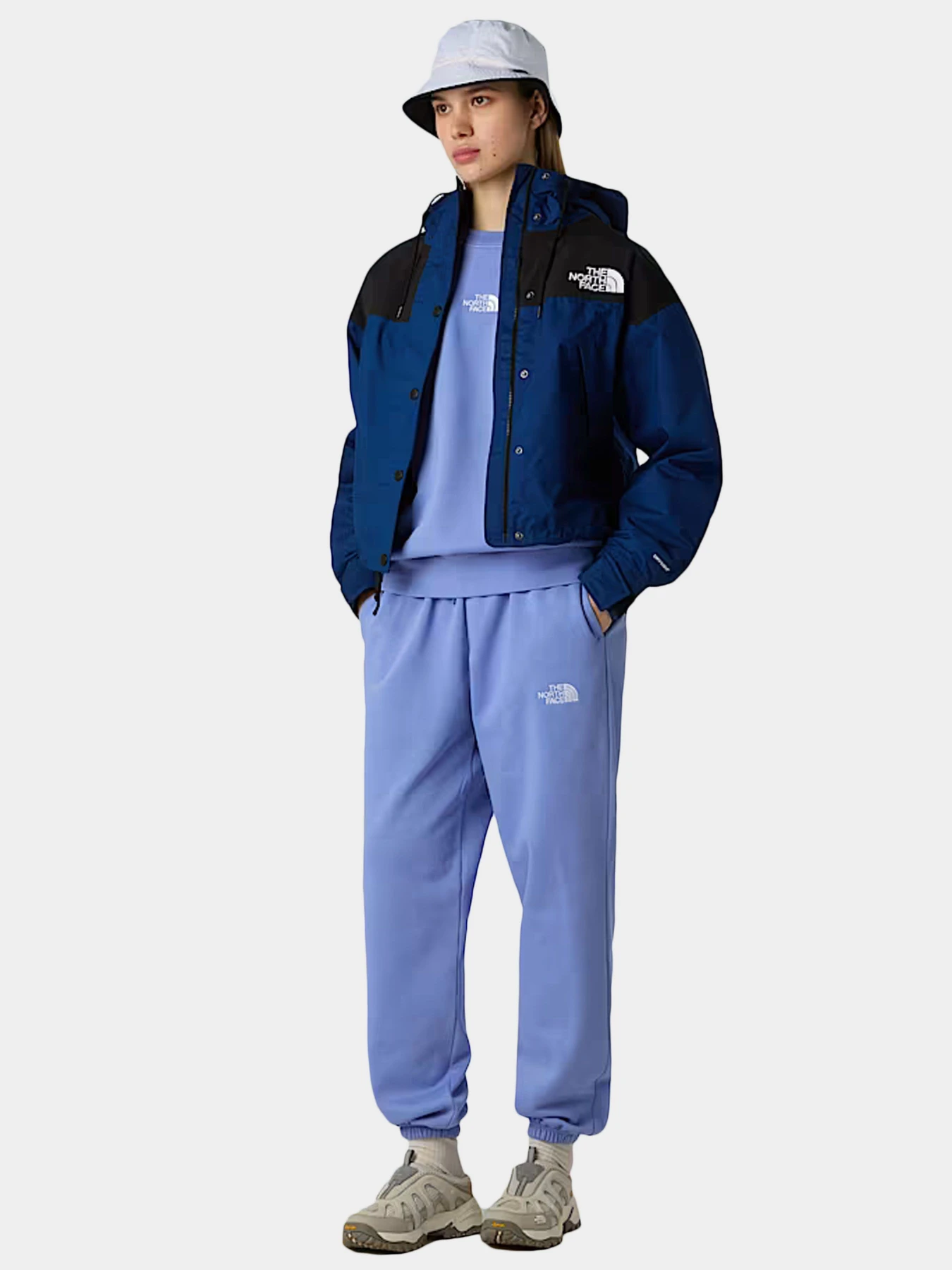 Куртки и дубленки The North Face модель NF0A8BCHF1T1 Куртки и дубленки The North Face модель NF0A8BCHF1T1 Фото