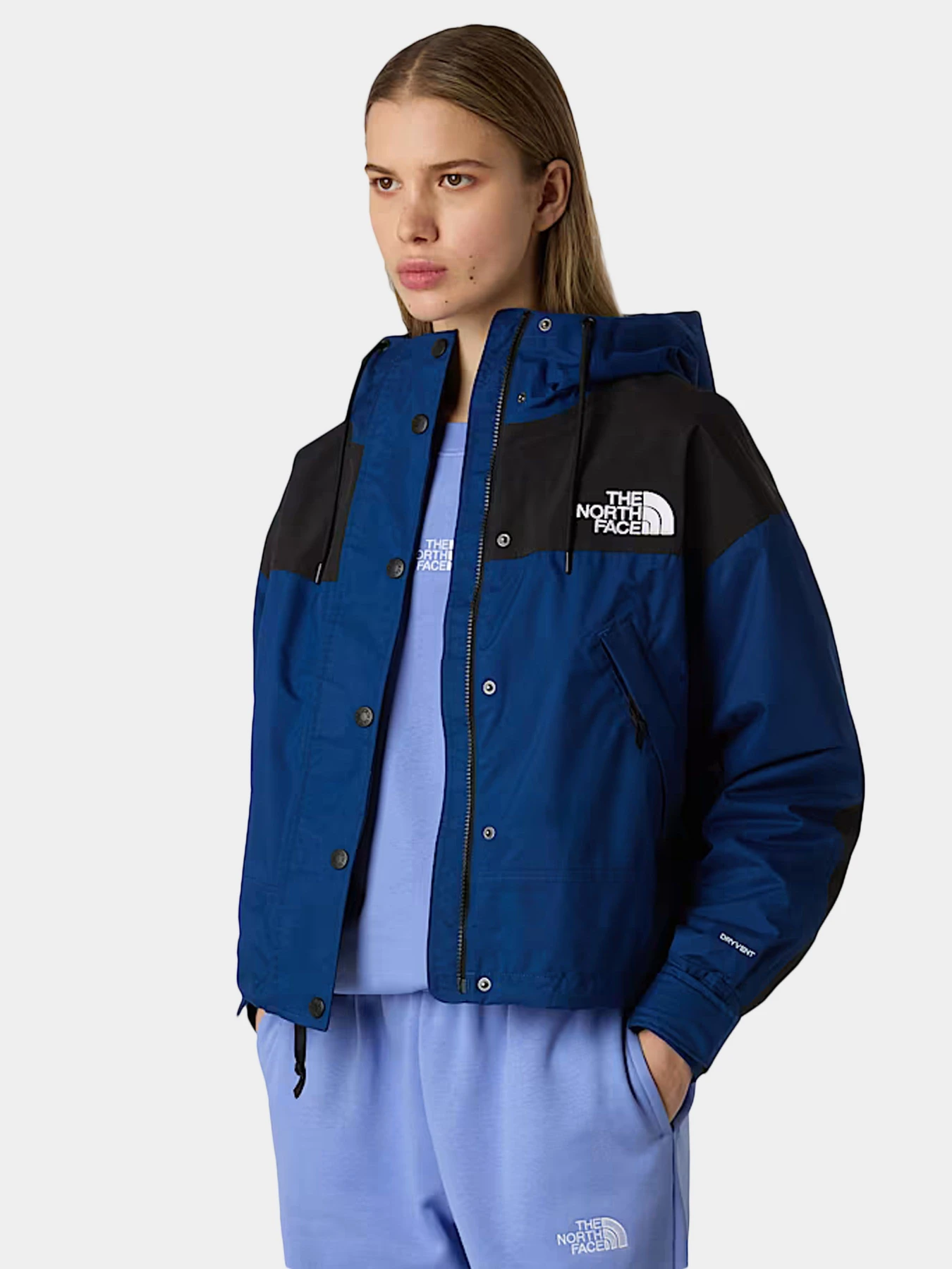 Куртки и дубленки The North Face модель NF0A8BCHF1T1 Куртки и дубленки The North Face модель NF0A8BCHF1T1 Фото