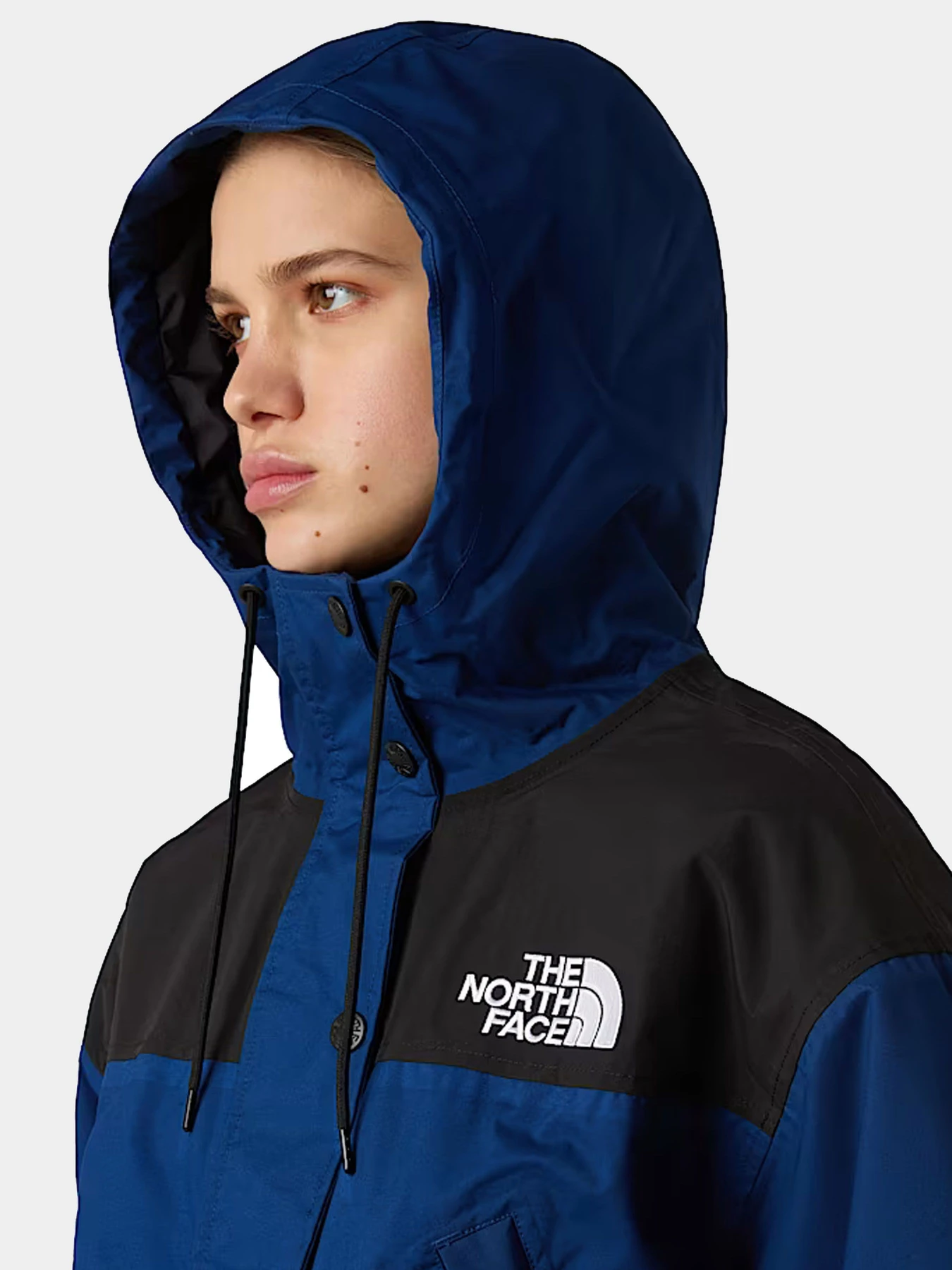 Куртки и дубленки The North Face модель NF0A8BCHF1T1 Куртки и дубленки The North Face модель NF0A8BCHF1T1 Фото