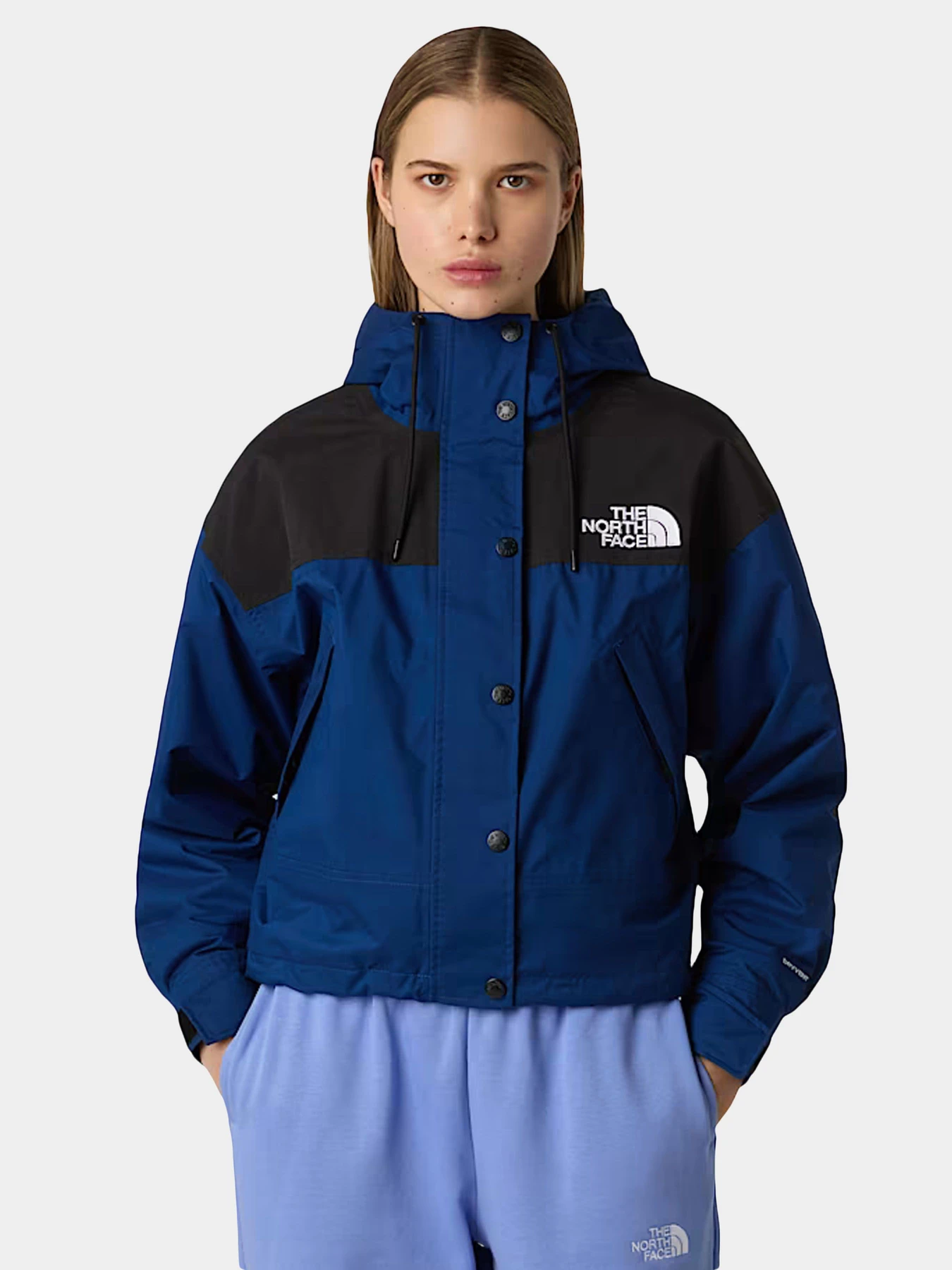 Куртки и дубленки The North Face модель NF0A8BCHF1T1 Куртки и дубленки The North Face модель NF0A8BCHF1T1 Фото