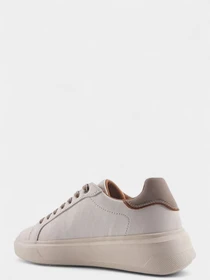 Кроссовки US Polo модель 101742666 Фото