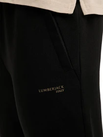 Брюки Lumberjack модель 101437852 Фото