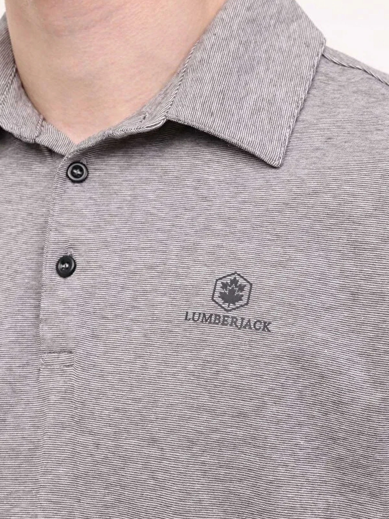 Футболки и поло Lumberjack модель 101497301 Футболки и поло Lumberjack модель 101497301 Фото