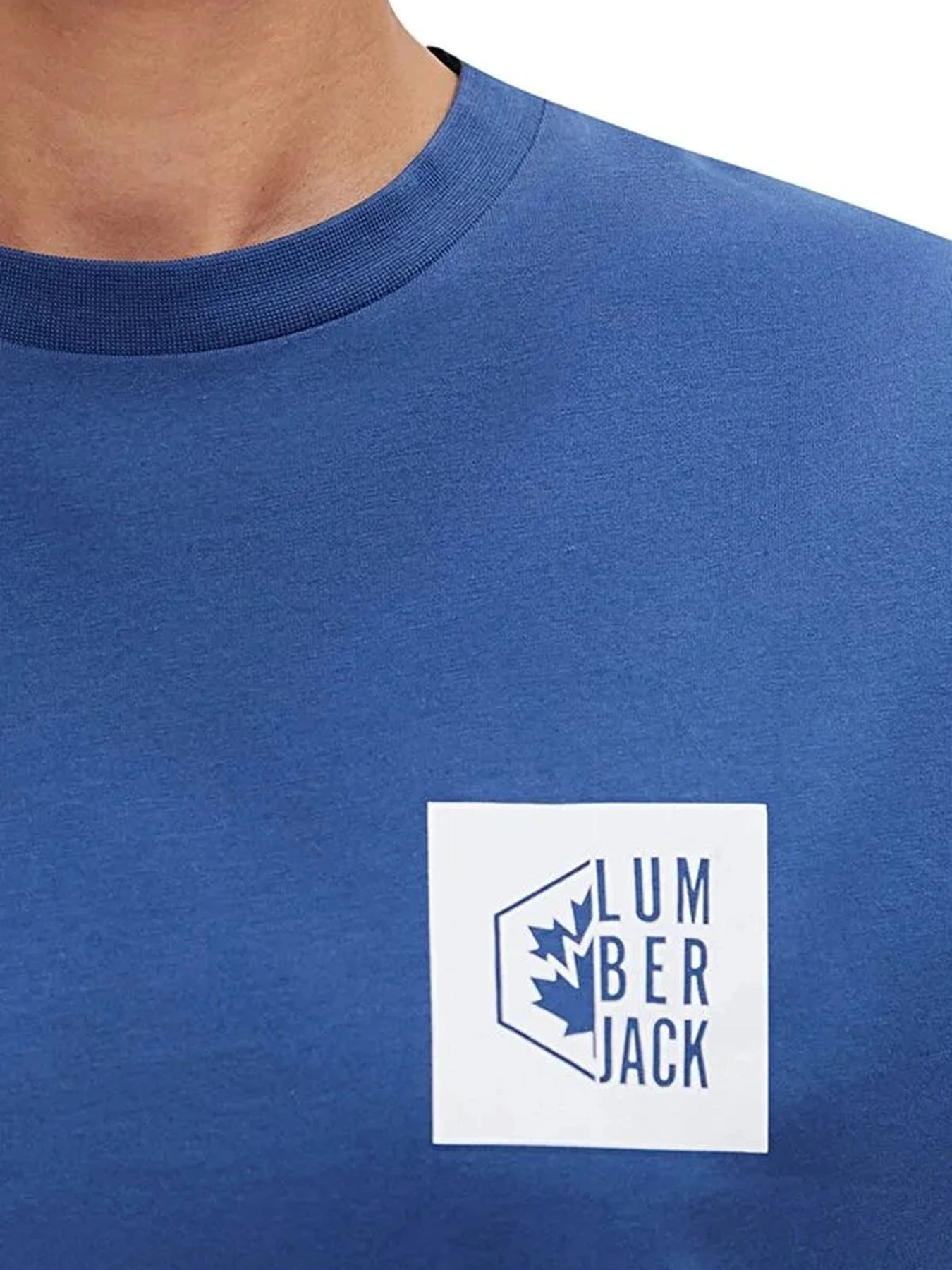 Футболки и поло Lumberjack модель 101510970 Футболки и поло Lumberjack модель 101510970 Фото