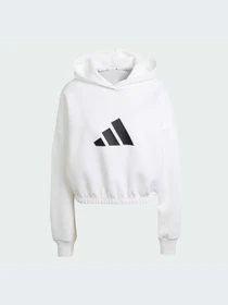 Худи и свитшоты Adidas модель JE0137-KZ Фото