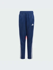 Брюки Adidas модель JD0576-KZ Фото