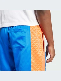 Шорты Adidas Graphics модель JD0704-KZ Фото