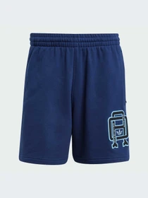 Шорты Adidas Graphics модель JD3336-KZ Фото