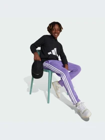 Худи и свитшоты Adidas модель JC9667-KZ Фото