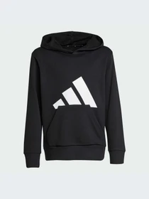 Худи и свитшоты Adidas модель JC9667-KZ Фото