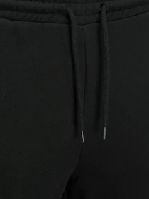 Брюки JACK & JONES модель 12214939_Black Фото