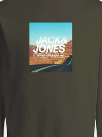 Худи и свитшоты JACK & JONES модель 12196814_MartiniOlive Фото