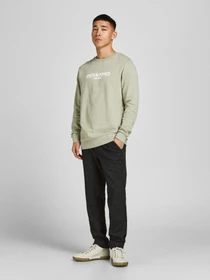 Худи и свитшоты JACK & JONES модель 12205732_Tea Фото