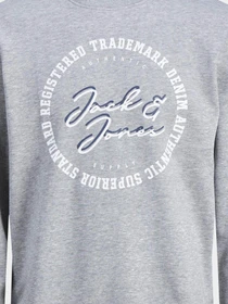 Худи и свитшоты JACK & JONES модель 12211549_LIGHTGREYMELANGE Фото