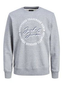 Худи и свитшоты JACK & JONES модель 12211549_LIGHTGREYMELANGE Фото