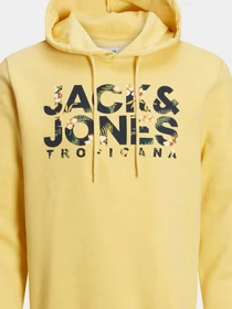 Худи и свитшоты JACK & JONES модель 12225417_Jojoba Фото