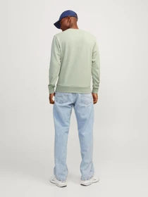 Худи и свитшоты JACK & JONES модель 12248002_DesertSage Фото