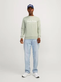 Худи и свитшоты JACK & JONES модель 12248002_DesertSage Фото