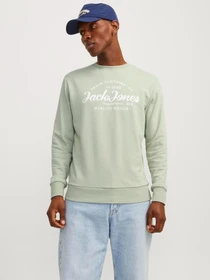 Худи и свитшоты JACK & JONES модель 12248002_DesertSage Фото