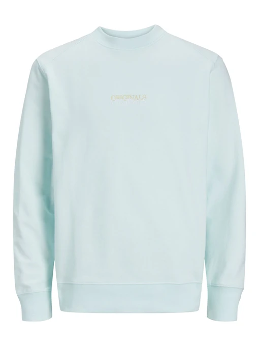 Худи и свитшоты JACK & JONES модель 12252410_Skylight Фото