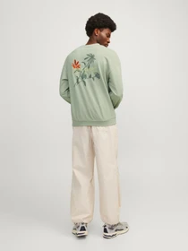 Худи и свитшоты JACK & JONES модель 12253369_DesertSage Фото