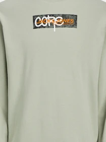 Худи и свитшоты JACK & JONES модель 12256370_DesertSage Фото