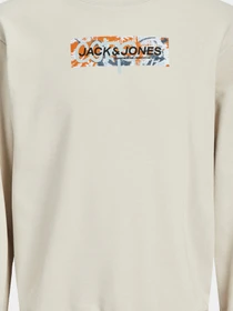 Худи и свитшоты JACK & JONES модель 12256370_Moonbeam Фото