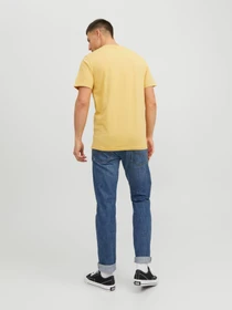 Футболки и поло JACK & JONES модель 12224688_Jojoba Фото