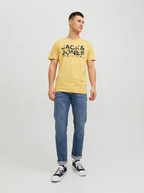 Футболки и поло JACK & JONES модель 12224688_Jojoba Фото