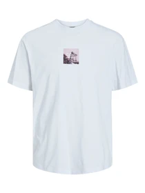Футболкалар мен поло жейделер JACK & JONES үлгі 12253423_AlmondMilk Фото