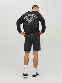 Шорты JACK & JONES модель 12223607_BlackDenim Фото