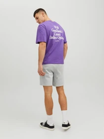 Шорты JACK & JONES модель 12224021_LIGHTGREYMELANGE Фото