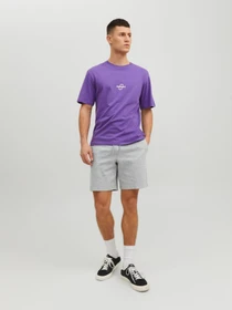 Шорты JACK & JONES модель 12224021_LIGHTGREYMELANGE Фото