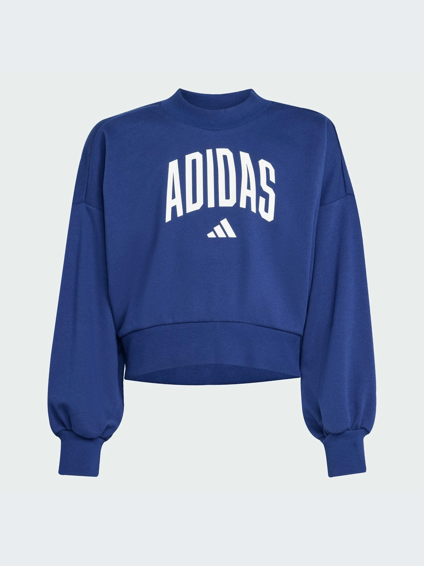 Худи и свитшоты Adidas модель JM1535-KZ Худи и свитшоты Adidas модель JM1535-KZ Фото