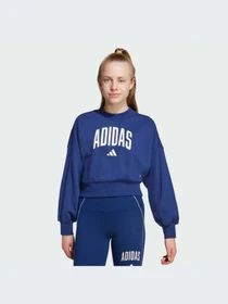 Худи и свитшоты Adidas модель JM1535-KZ Фото