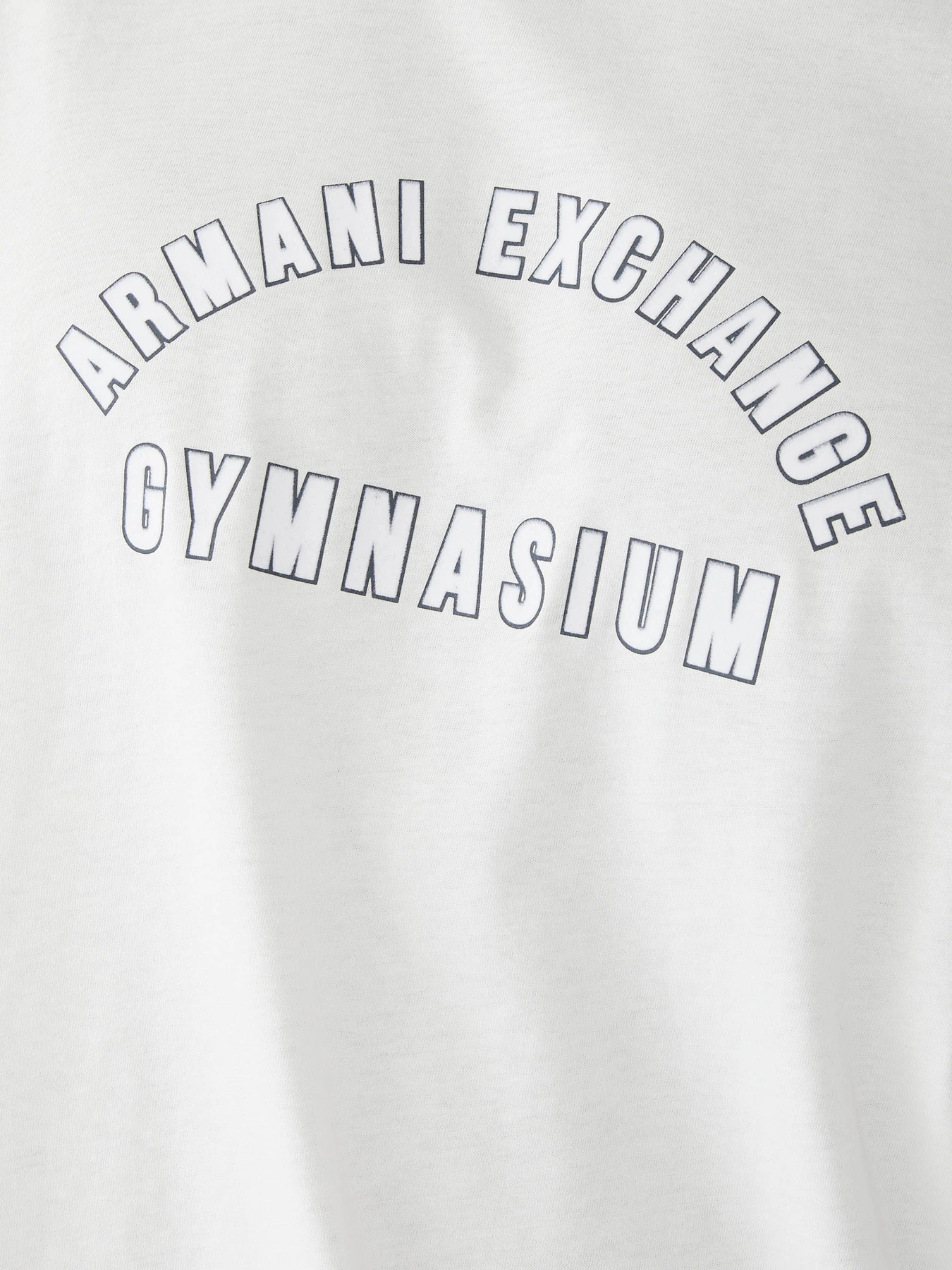 Футболки и поло Armani Exchange модель 6DZTJX-ZJBYZ-1116 Фото