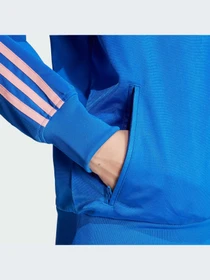 Худи и свитшоты Adidas Adicolor модель JP2301-KZ Фото
