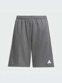 Шорты Adidas Clima модель JC7676-KZ Фото