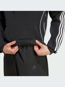 Худи и свитшоты Adidas Adicolor модель JY6394-KZ Фото