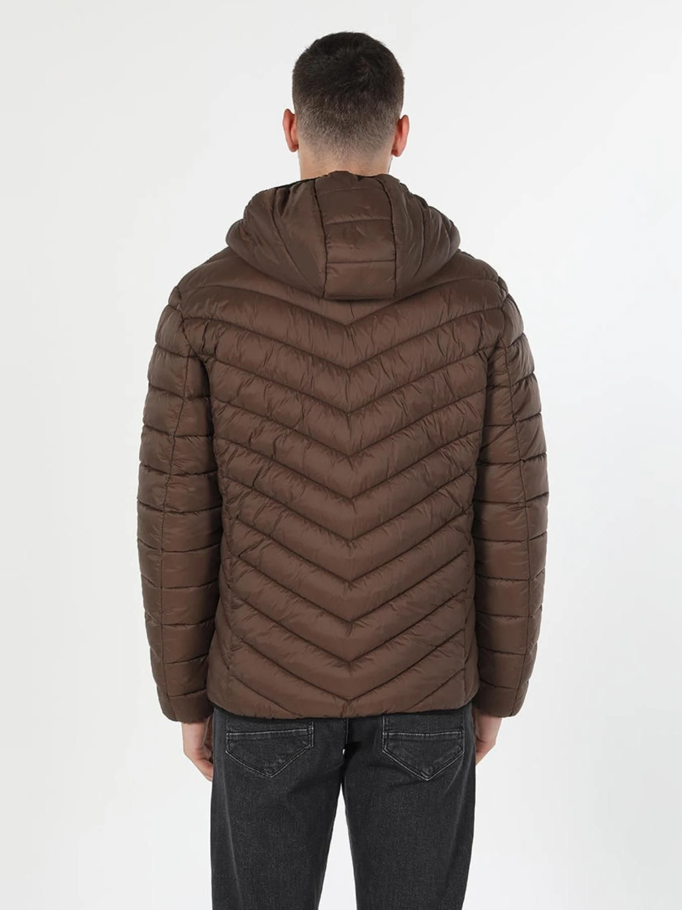 Куртки и дубленки Colin’s модель CL1021308_BRW Куртки и дубленки Colin’s модель CL1021308_BRW Фото